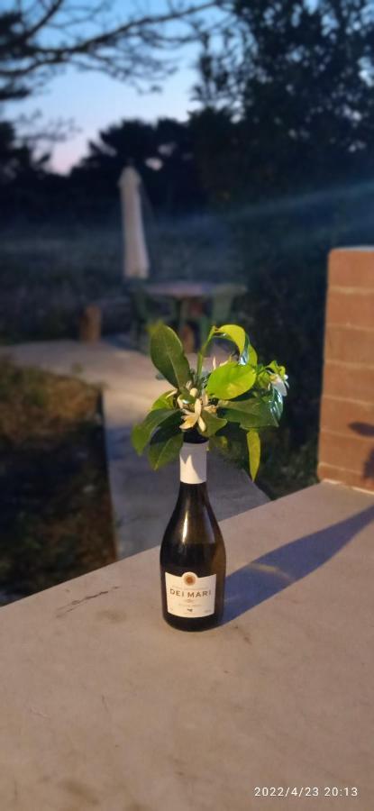 Sogni Nel Blu Favignana Villa Luaran gambar
