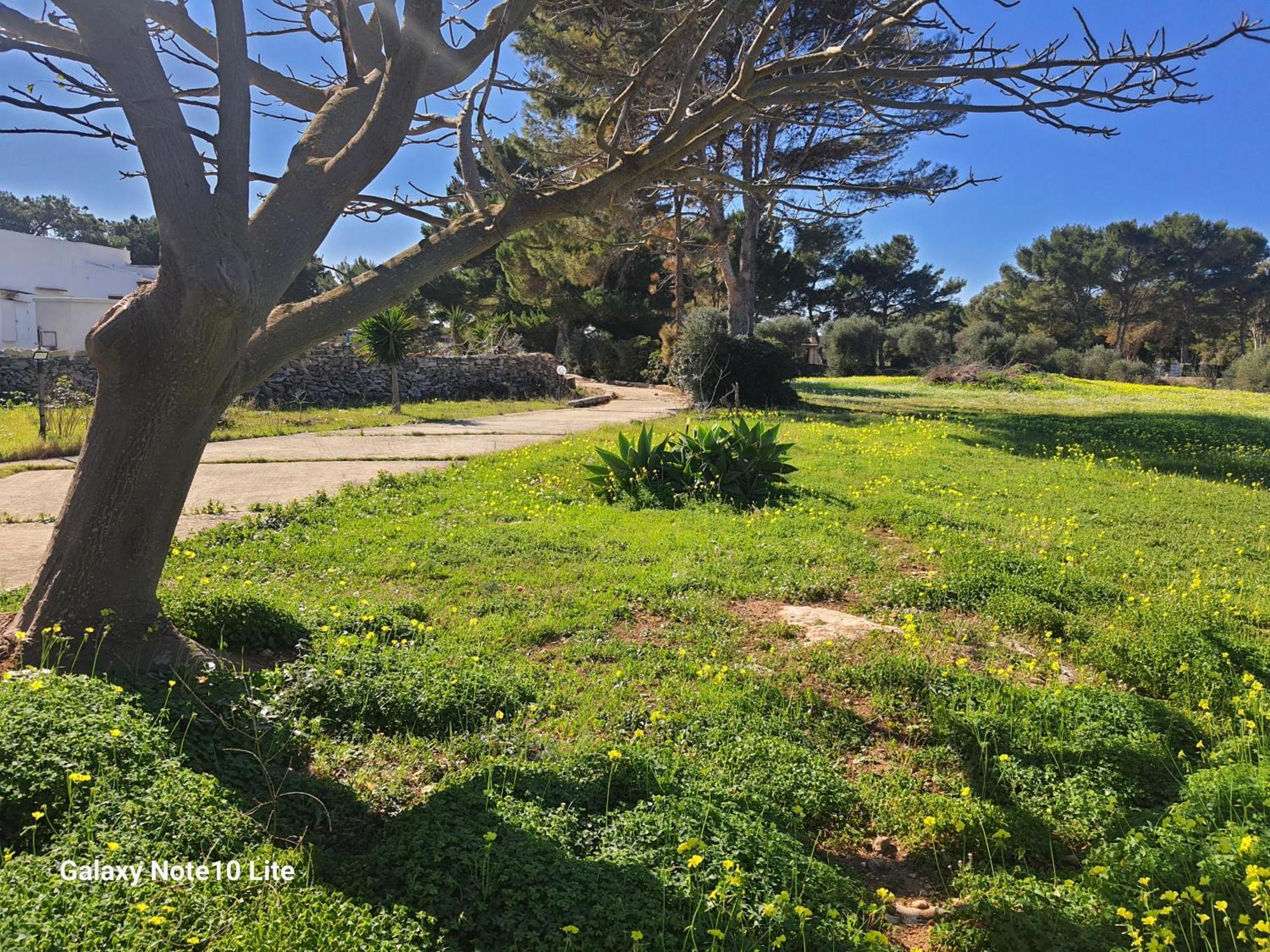Sogni Nel Blu Favignana Villa Luaran gambar